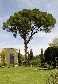 سْكانديتْشي Villa Malavolta المظهر الخارجي الصورة